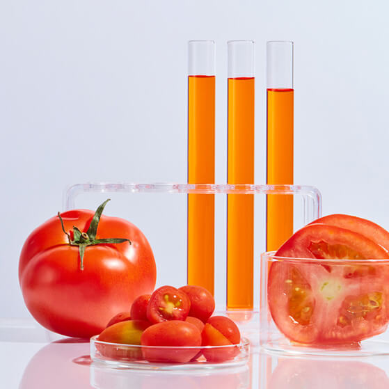 Tomatoes and an image of 3 test tubes representing tomato seed oil which supports radiant skin health.